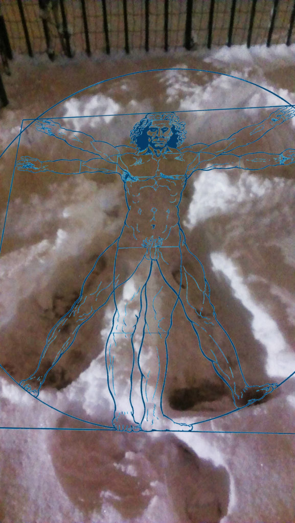 Vitruvian Snow Angel